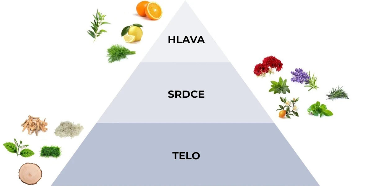Pyramída vôní parfému do prania Gocce di Freschezza